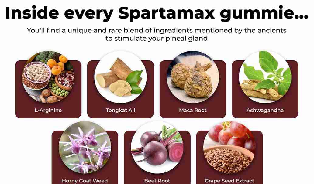 Key Ingredients in SpartaMax